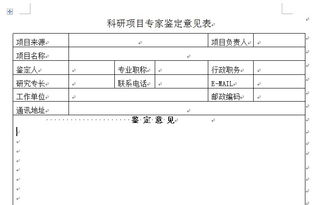 关于科研课题专家评语