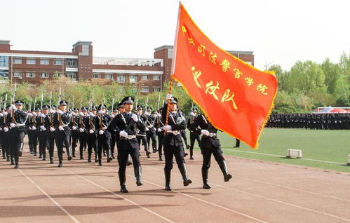 中央司法警察学院(中央司法警官学院是什么学校)