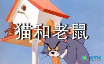 猫和老鼠续写400字 