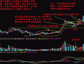 均线系统实战操作方法有哪些