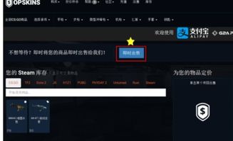 csgo中局内信息怎么发