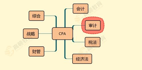 答案：为什么选择四大审计