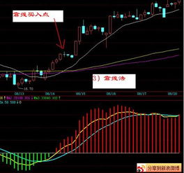 股票卖掉1001股还剩99股咋办