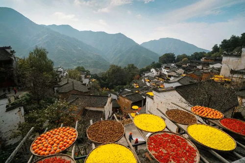 秋风近,秋山浓,秋水淡 秋水 