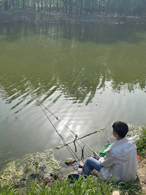 钓鱼分享 陪男朋友钓鱼 
