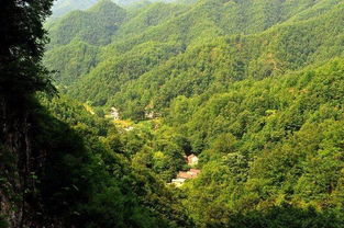 河南栾川这个景区不仅夏天火爆,冬季旅游也将成为新宠 