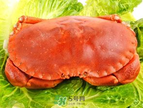 面包蟹和帝王蟹哪个好吃 面包蟹好吃还是帝王蟹好吃
