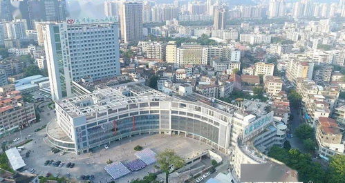 广东省惠州市哪个股市最大？