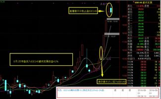 [经验共享] 选股技巧什么最可靠