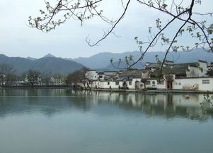 黄山全景 画里宏村3日游 上海参团,1晚宿华美达温泉酒店或同级