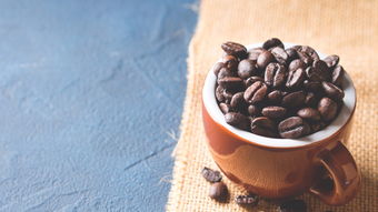 哪条法律规定了咖啡豆不能直接吃 