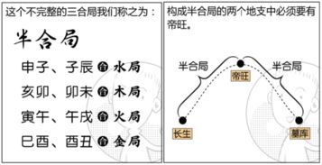 地支的阴阳属性及运行规则是什么