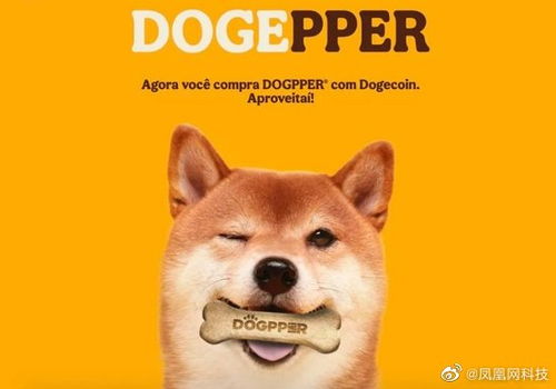 巴西汉堡王拥抱狗狗币支付！但只能购买狗粮而非汉堡等食物