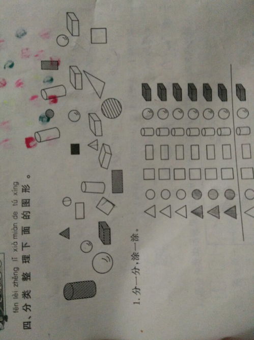 小学一年级数学图形分类 