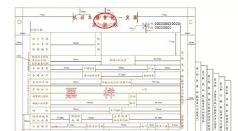 增值税一般纳税人企业提供装卸劳务开具普通发票税率是多少