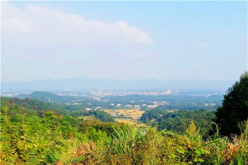 长沙农家乐旅游最好玩的地方登高望远一日游