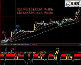 请高手做一个通达信的筹码低位单峰密集的选股公式.