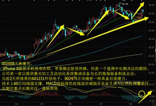 找下周或8月份潜力牛股