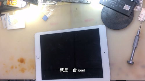 ipad为什么不建议换电池(ipad怎么查电池寿命)