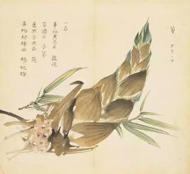 诗经 精美古画100幅,笔下春风,丹青过实