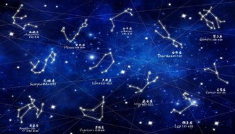 你在中国古代的十二星座中是什么座 传统的算命方法为什么没星座流行