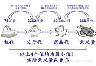 海通证券 政策已暖珍惜机会 涨价概念 迎来风口 