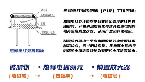 查降重背后的科学原理，一篇文章让您明白