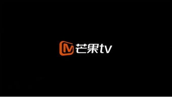 湖南卫视旗下芒果TV完成A轮融资 估值超70亿元