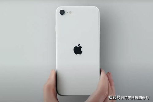 苹果新款 iPhone SE 支持无线充电吗