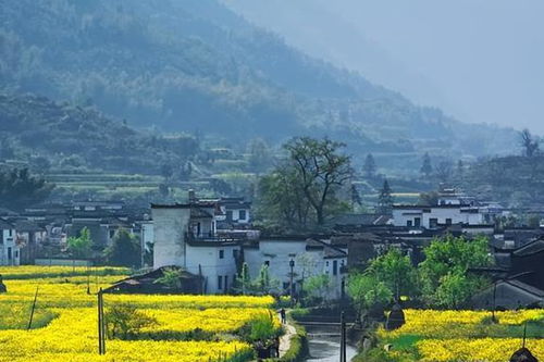 乡村旅游地方