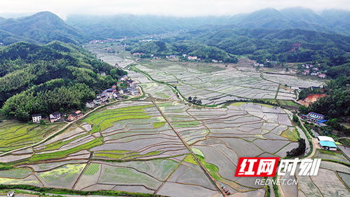 湖南衡阳衡山岭坡乡