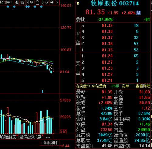 8月29日证券龙头股排名前十：中金公司、华泰证券等股票跌幅超过1%