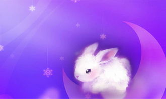 超萌可爱小兔子意境图集 亲爱的萌小兔