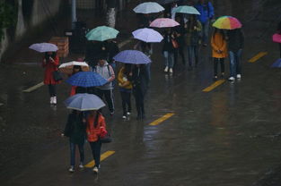 白色圣诞 在路上,武汉今夜降雨不降雪