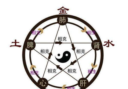 平时常说 买东西 ,但少有人知其出处,为何不叫 买南北 呢