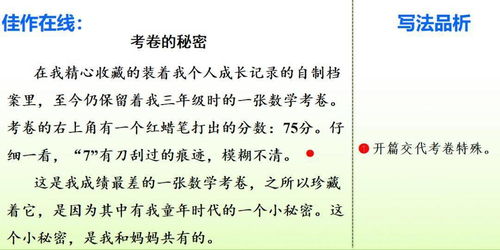 写心儿怦怦跳的作文440字的