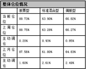 如何查看当前的基金仓位情况