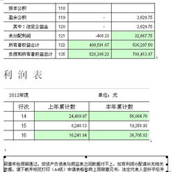 注册资金是1000万并且有3000元利润的资产负债表和损益表该怎么填