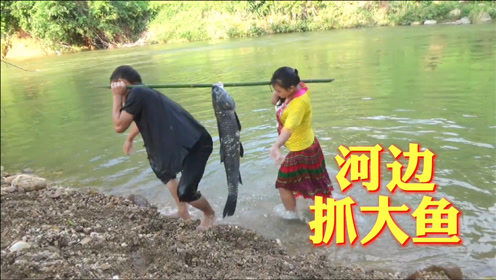 农村女人河边抓鱼,发现一条大青鱼,她怎样才能抓到呢 搞笑