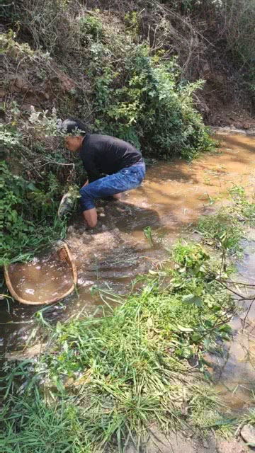 小伙用撮箕打上去直接用手逮住一条大货 