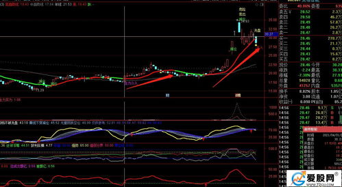 绝对的主升浪指标是哪个炒股软件上面的? 此指标含有未来函数（这个没事）主要是我想知道他的用法