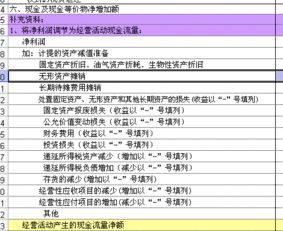 你好 如果净利润是负数的话 是不是就在现金流量表内补充资料内的净利润不显示？谢谢