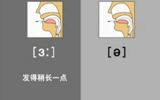 从头学语音语调丨中元音 和 的外号 你知道吗 看外国老师示范教学 附视频 音频 