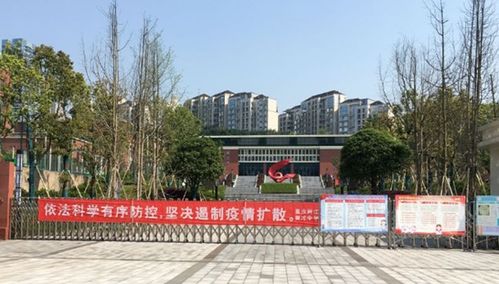 两江新区教育系统开展诚信教育和传染病防治法宣传教育 