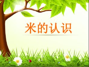 量比较长的物体可以用(    )作单位，量比较短的物体可以用(    )作单位。