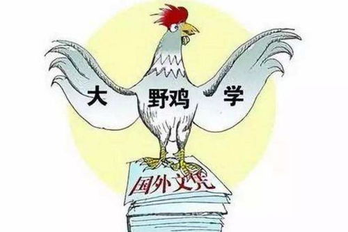 虚假大学是什么意思？野鸡大学什么意思