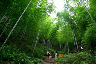 来一次夏日清凉团建出行,到天目湖水世界狂欢,南山竹海登山远眺