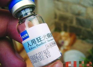 前有三聚氰胺事件,今有假疫苗,谁来保护中国的儿童 