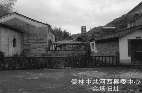 儒林村的革命历史