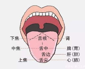 早晨对舌头做一件事就行 特效降血压